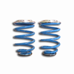 CoilSpring, achteras, hulpveer, Custom (2013-..), airco