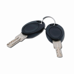 Schlüssel, HSC-Schlüsselnummer 484, HSC-System (2er-Set)