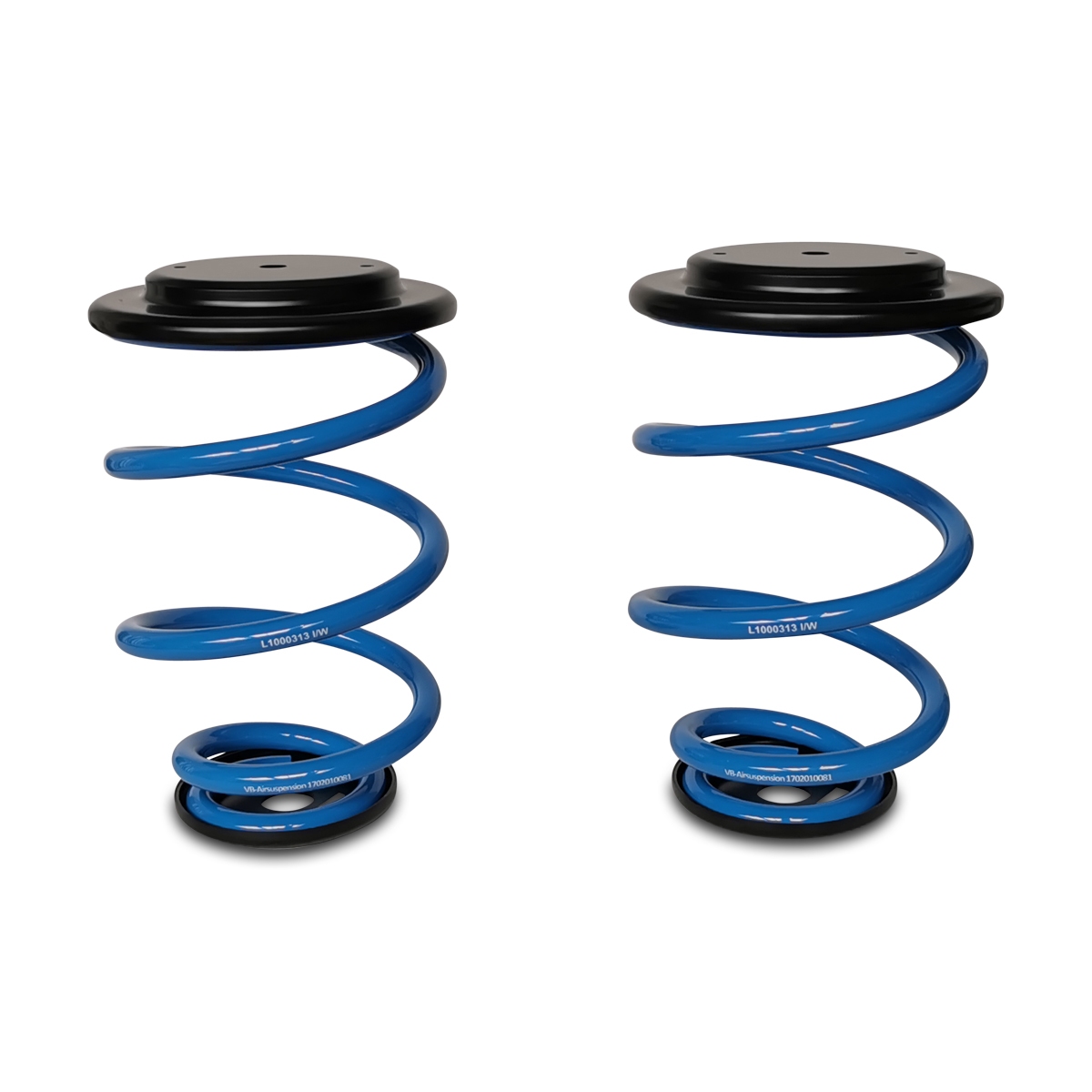 CoilSpring, Hinterachse, 