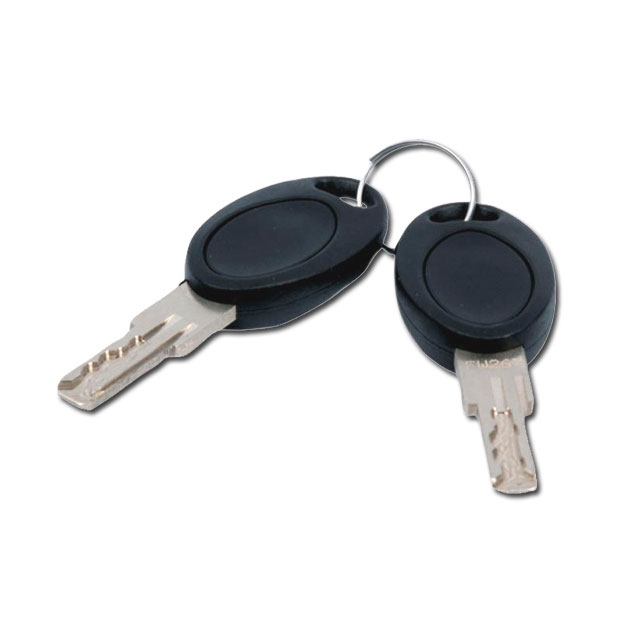 Schlüssel, HSC-Schlüsselnummer 481, HSC-System (2er-Set)